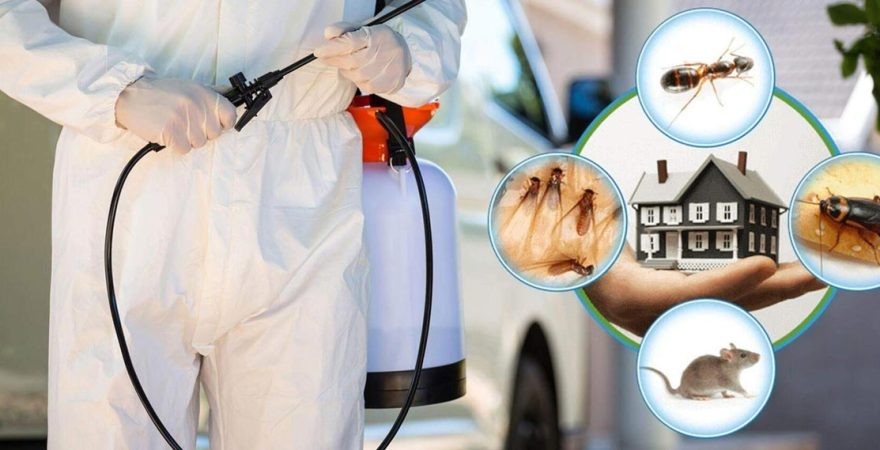 Horasan Böcek İlaçlama