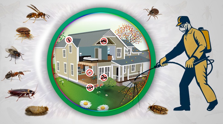 Horasan Böcek İlaçlama