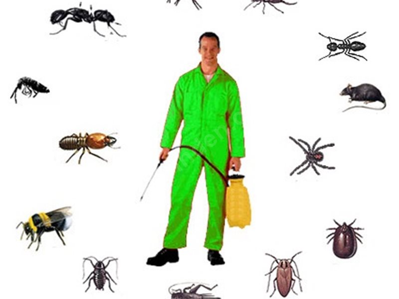 Horasan Böcek İlaçlama