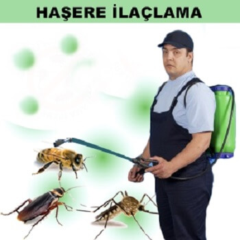 Horasan Böcek İlaçlama
